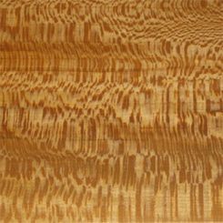 Antique Sycamore