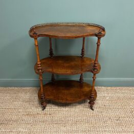 Superb Quality Antique Victorian Walnut What Not