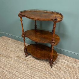 Superb Quality Antique Victorian Walnut What Not