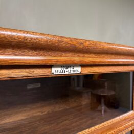 Large Antique Oak Globe Wernicke Bookcase