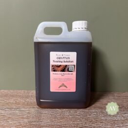 Curator Metal Rusting Solution